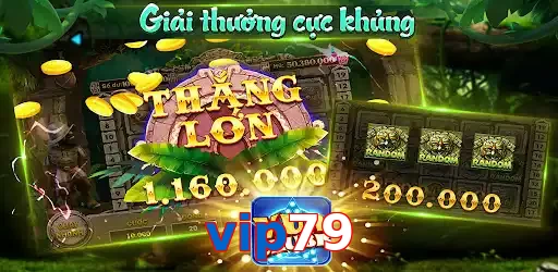 vip79